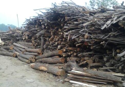 20190613151635538.jpg 20190613151635538.jpg